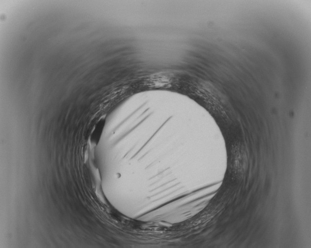 X0000086291442200704271750