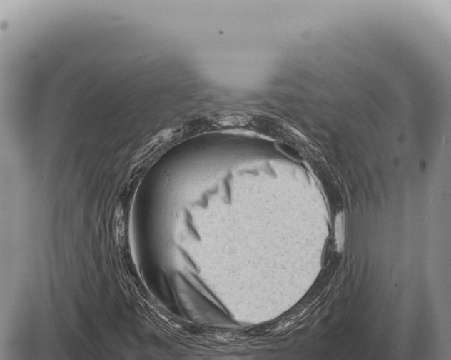 X0000086291443200704271750