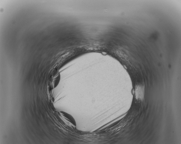 X0000086291444200704271750