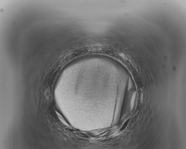 X0000086291445200704271750