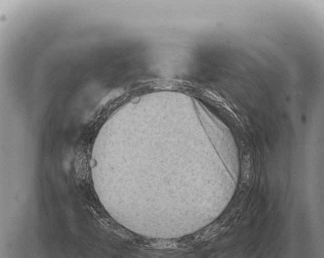 X0000086291446200704271750