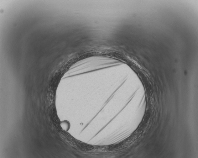 X0000086291447200704271750