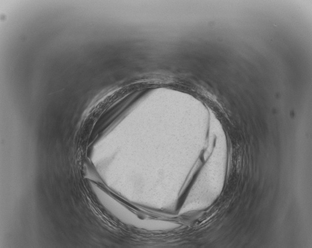 X0000086291448200704271750