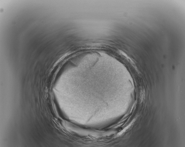 X0000086291449200704271750