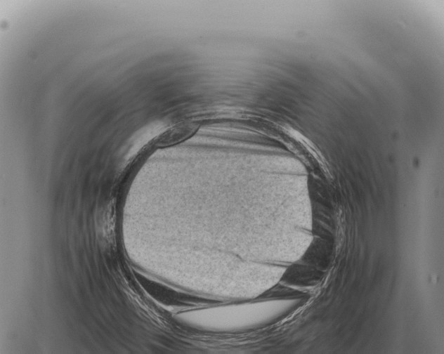 X0000086291450200704271750