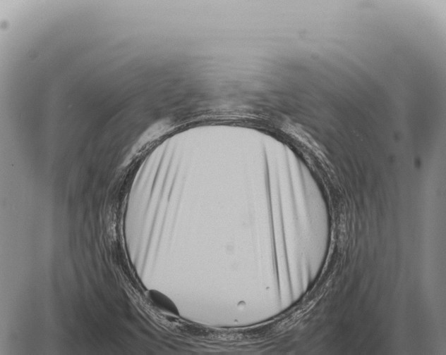 X0000086291451200704271750