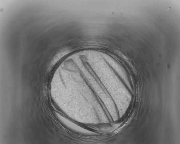 X0000086291453200704271750