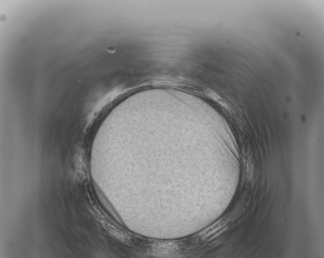 X0000086291454200704271750