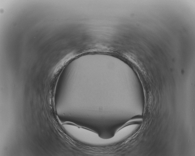 X0000086291455200704271750