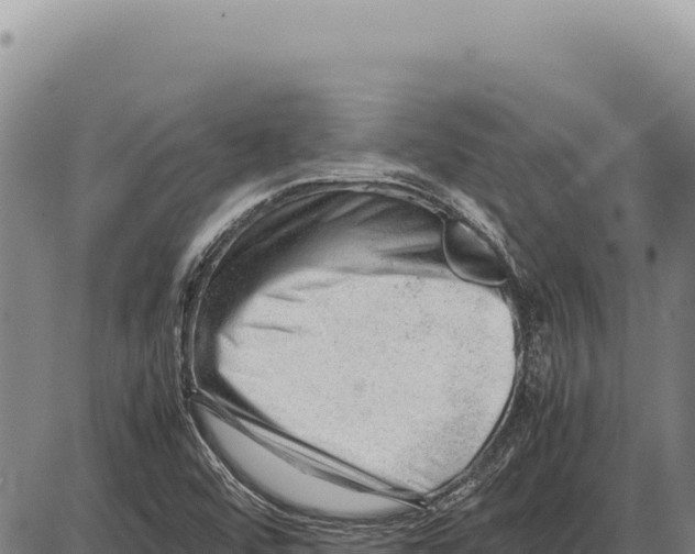 X0000086291456200704271750