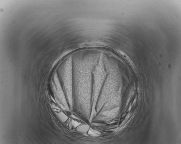 X0000086291457200704271750