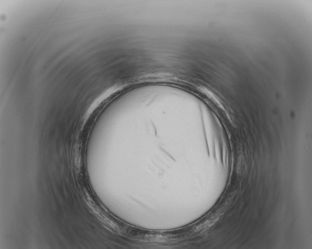 X0000086291458200704271750