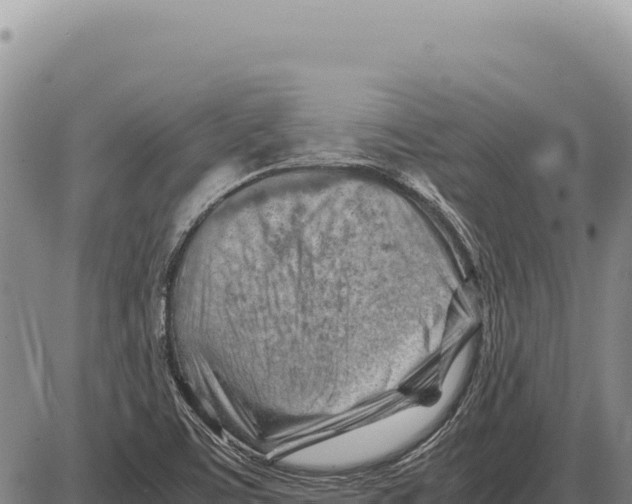 X0000086291459200704271750