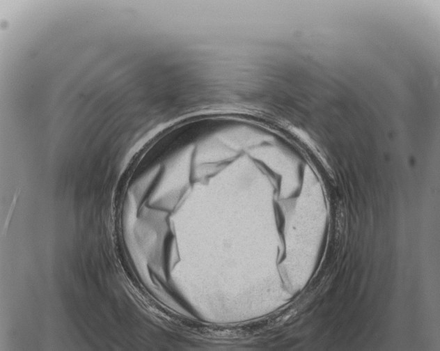 X0000086291460200704271750