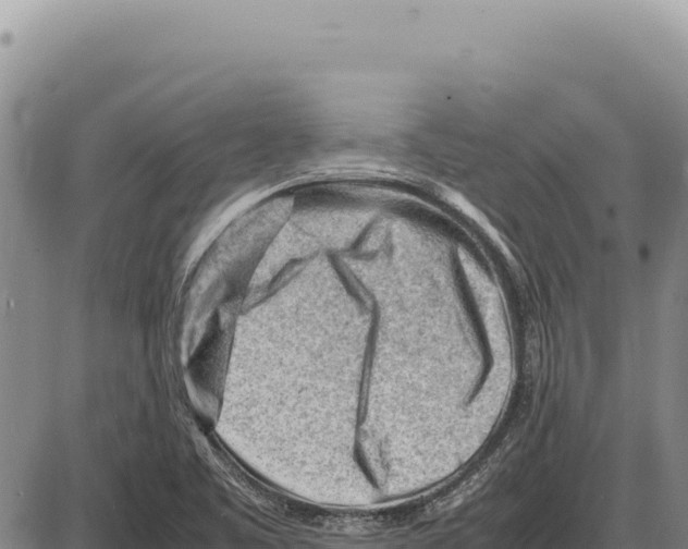 X0000086291461200704271750