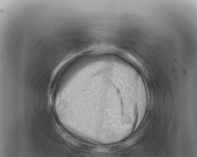 X0000086291462200704271750