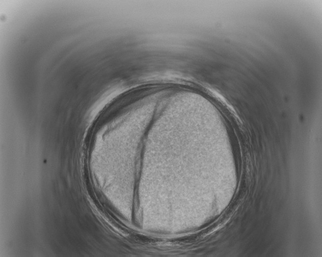 X0000086291463200704271750