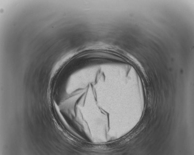 X0000086291464200704271750