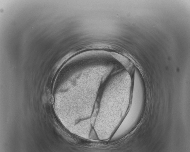 X0000086291465200704271750