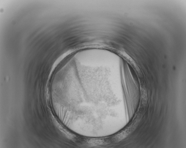 X0000086291466200704271750