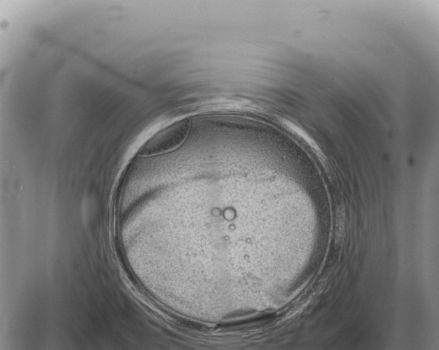 X0000086291467200704271750