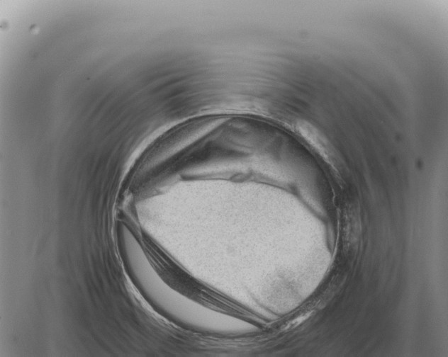 X0000086291468200704271750