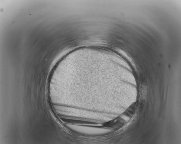 X0000086291469200704271750