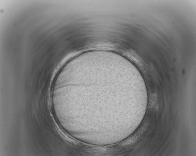 X0000086291470200704271750