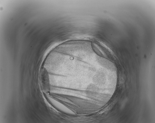 X0000086291471200704271750