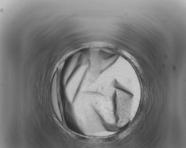 X0000086291473200704271750