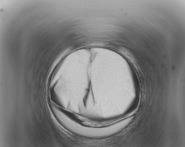 X0000086291475200704271750