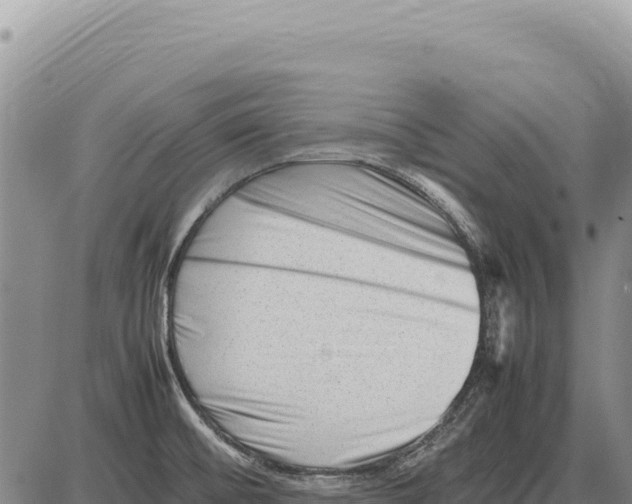 X0000086291476200704271750