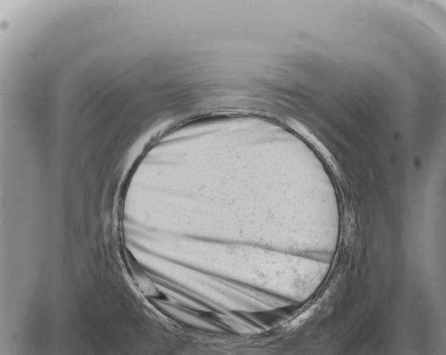 X0000086291477200704271750