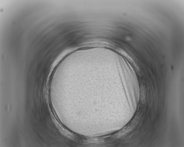 X0000086291478200704271750