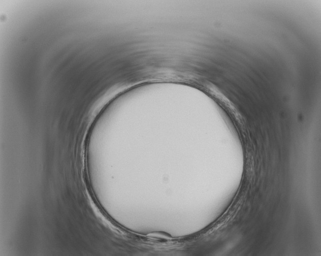 X0000086291479200704271750