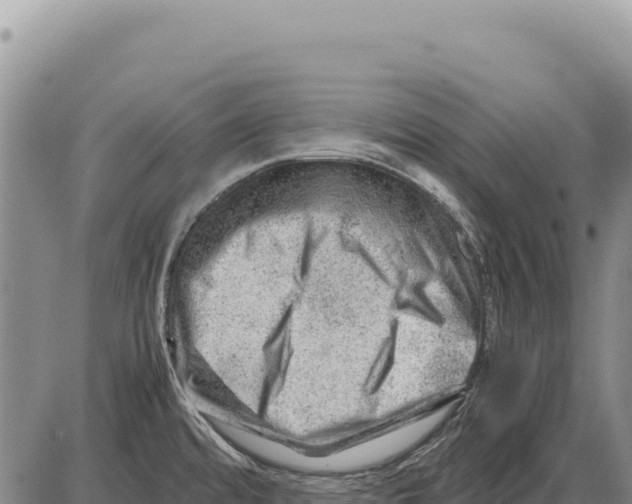 X0000086291480200704271750