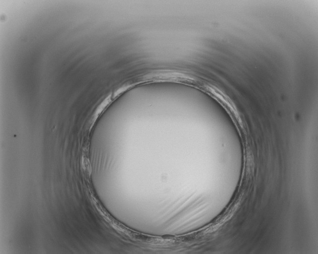 X0000086291481200704271750