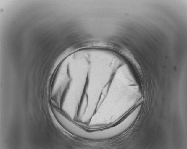 X0000086291483200704271750