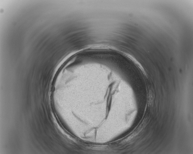 X0000086291484200704271750