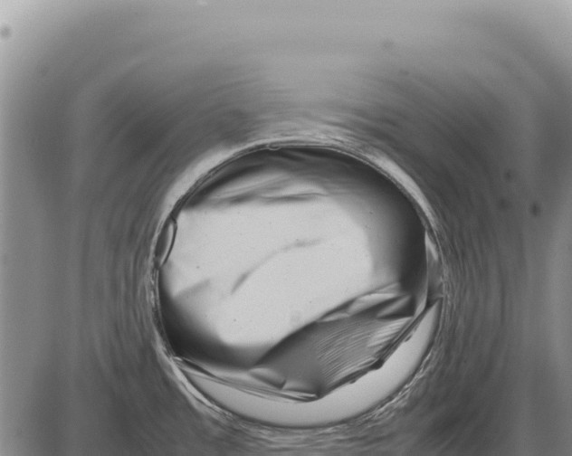 X0000086291485200704271750