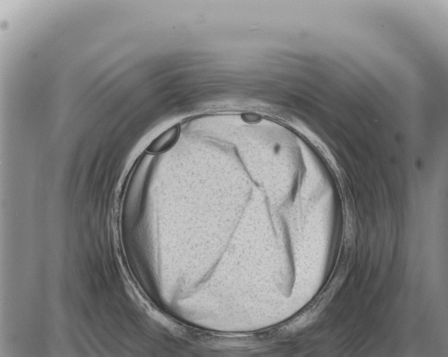 X0000086291486200704271750