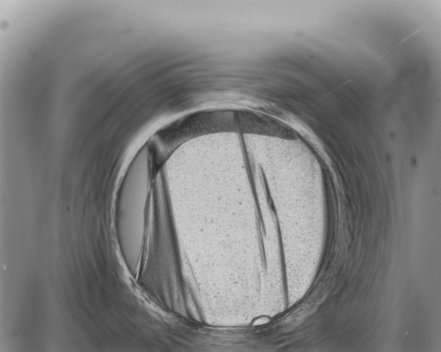 X0000086291488200704271749