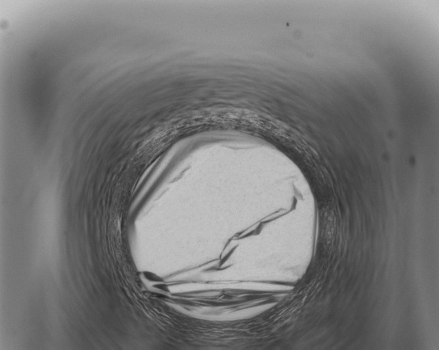 X0000086291489200704271749