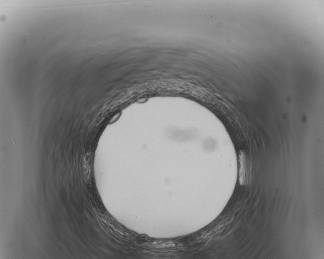 X0000086291491200704271749