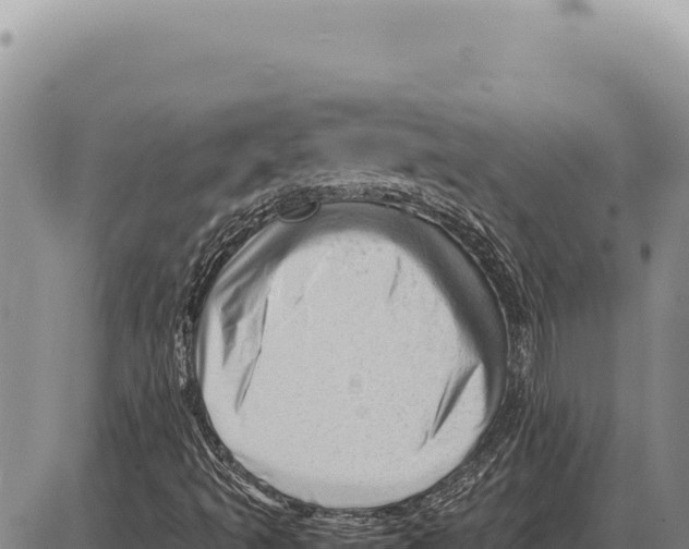 X0000086291493200704271749