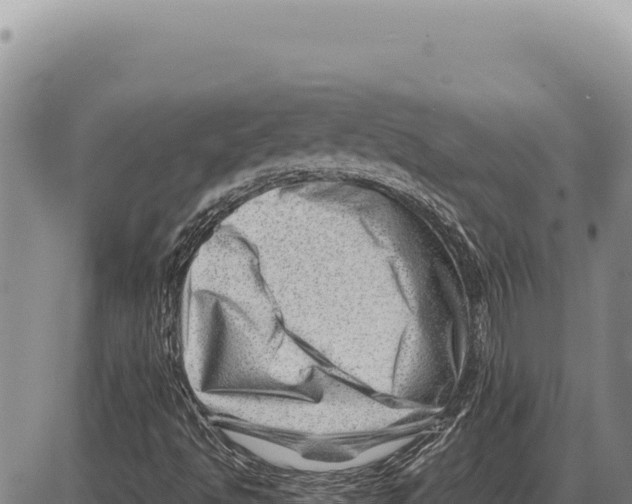 X0000086291494200704271749