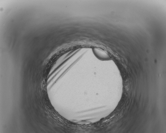 X0000086291495200704271749