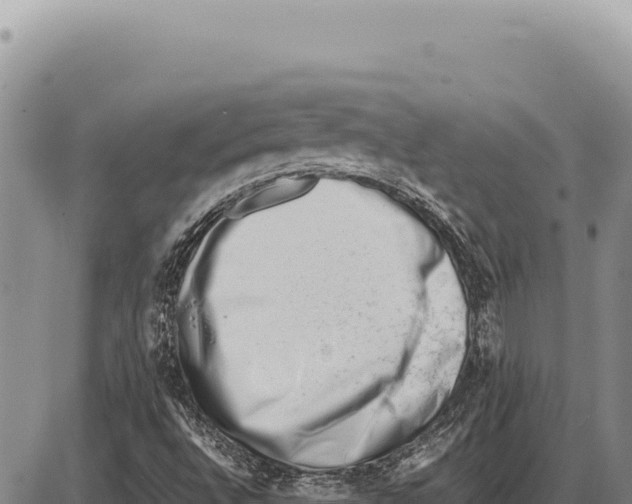 X0000086291496200704271749