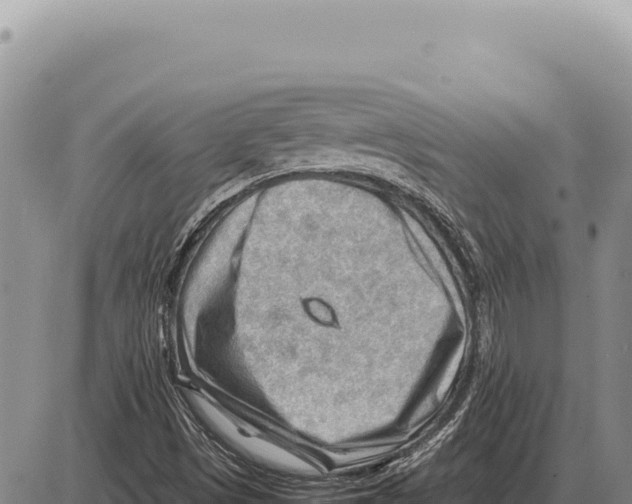 X0000086291497200704271749