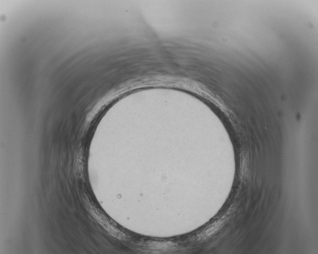 X0000086291498200704271749